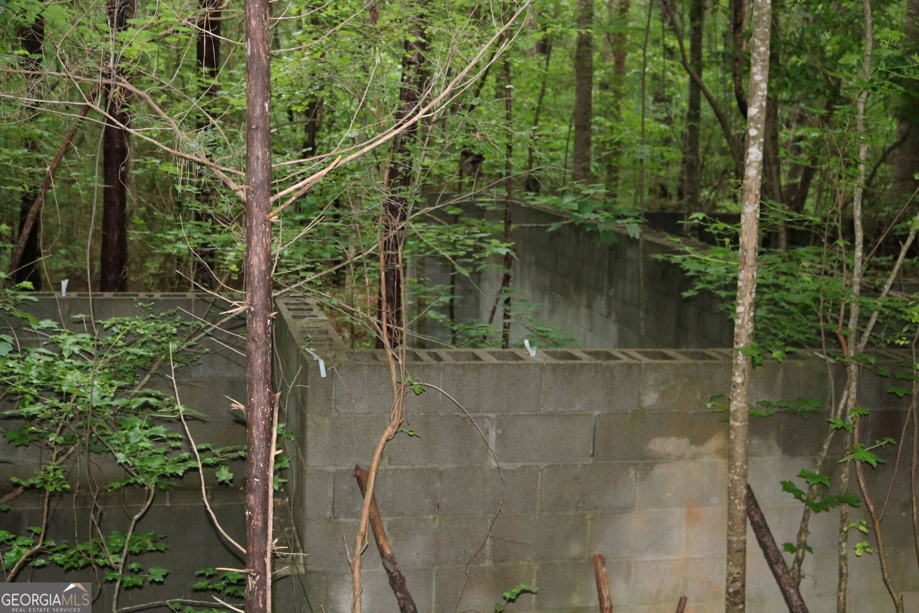 0 Kingston Road Colbert, GA 30628 - Photo 4 of 10 a view of a pathway next to a yard