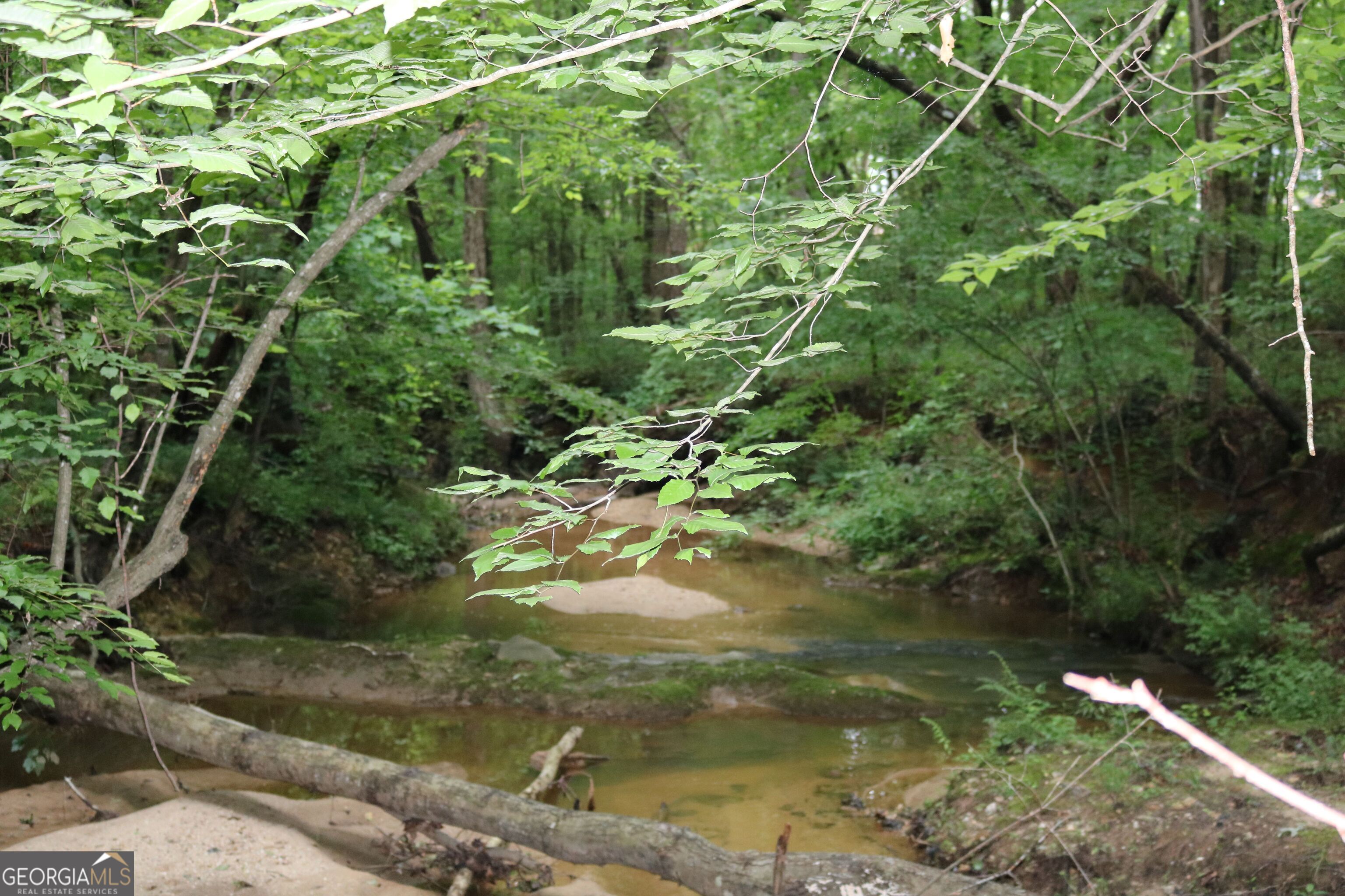 0 Kingston Road Colbert, GA 30628 - Photo 5 of 10 a view of a garden