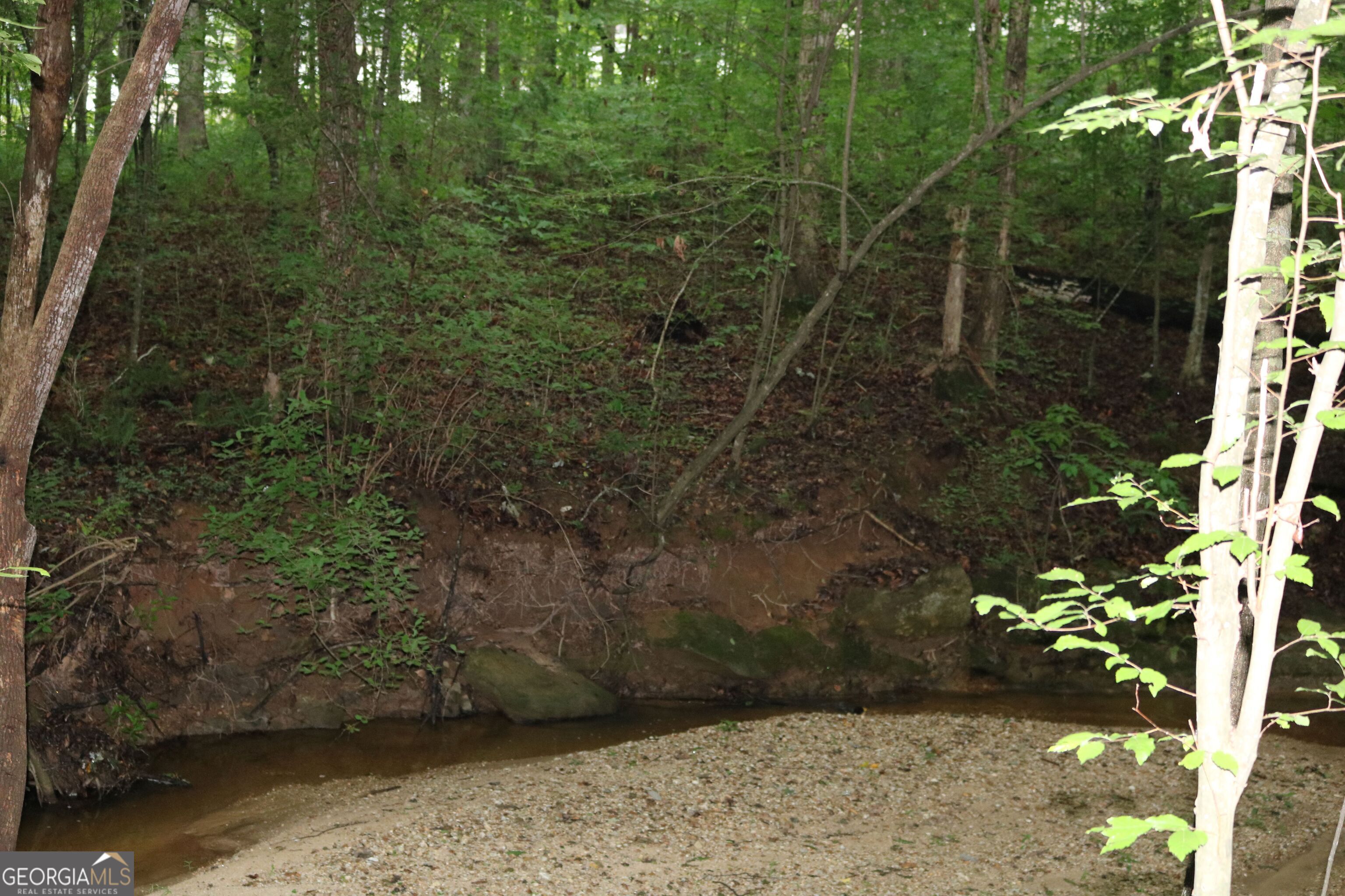 0 Kingston Road Colbert, GA 30628 - Photo 6 of 10 a view of a pathway of a yard