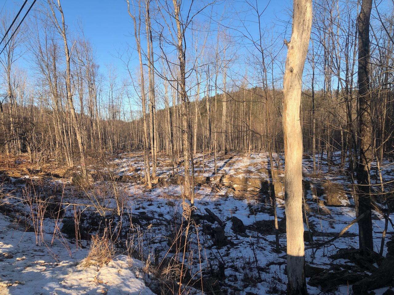 L25 Canton Mountain Road Jay, ME 04239 - Photo 9 of 25 IMG_8002