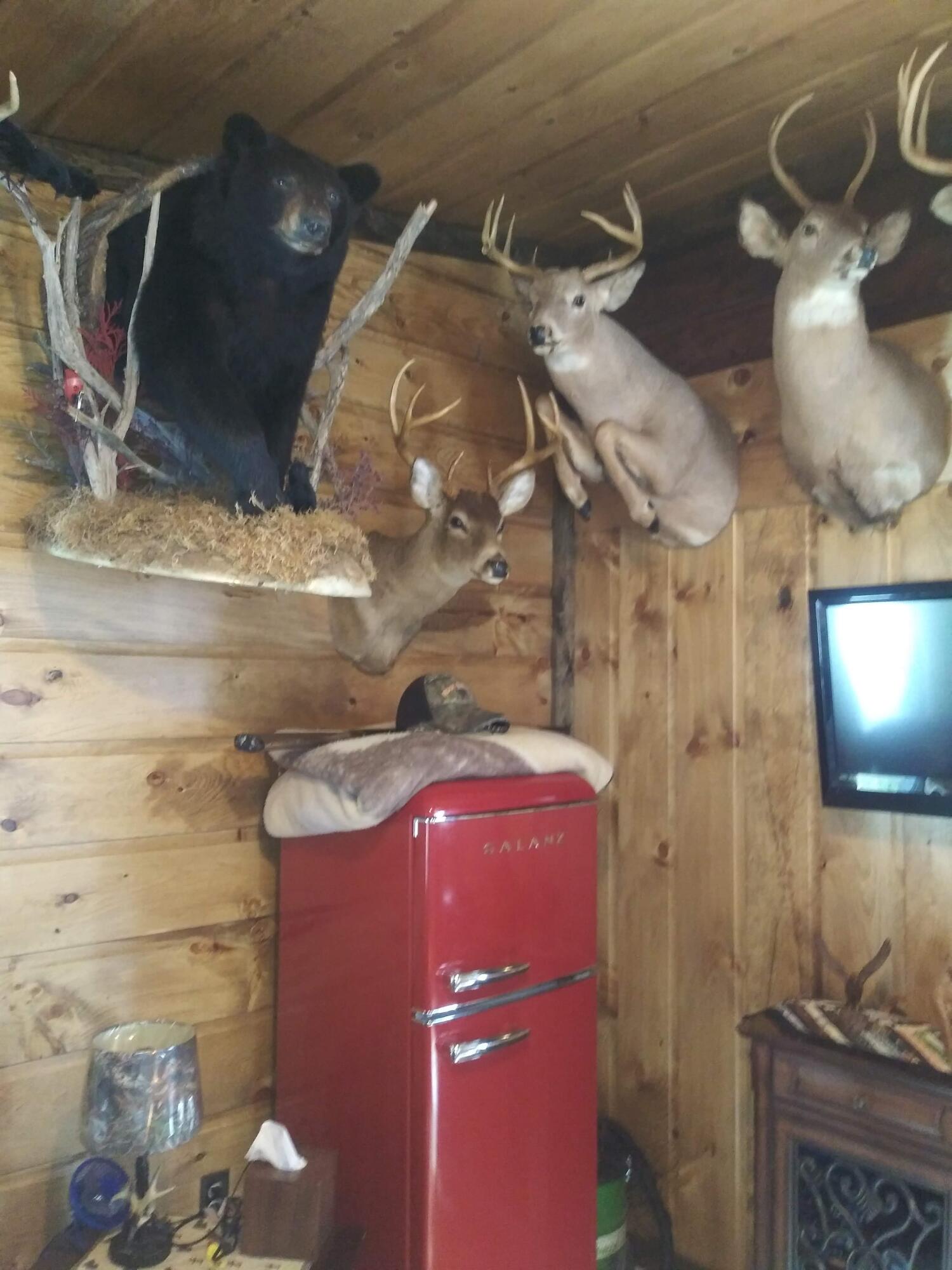 34 Birch Road New Portland, ME 04961 - Photo 8 of 18 20210219_095157