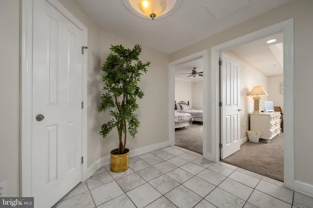 a view of a hallway and a potted plant