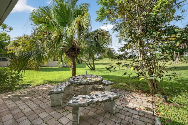 a view of a backyard with plants and a large tree