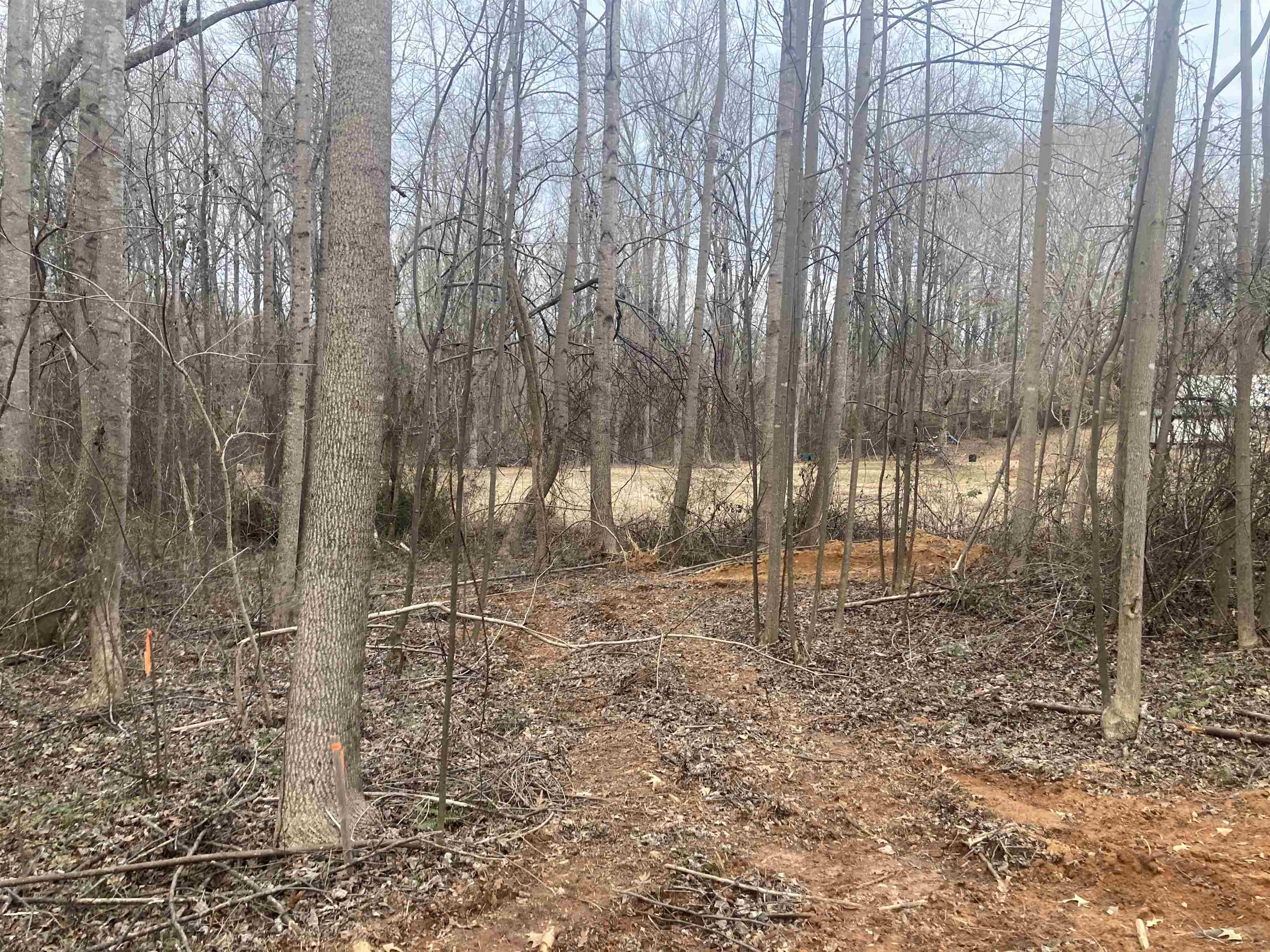 163 Rockingham Road Duncan, SC 29334 - Photo 3 of 7