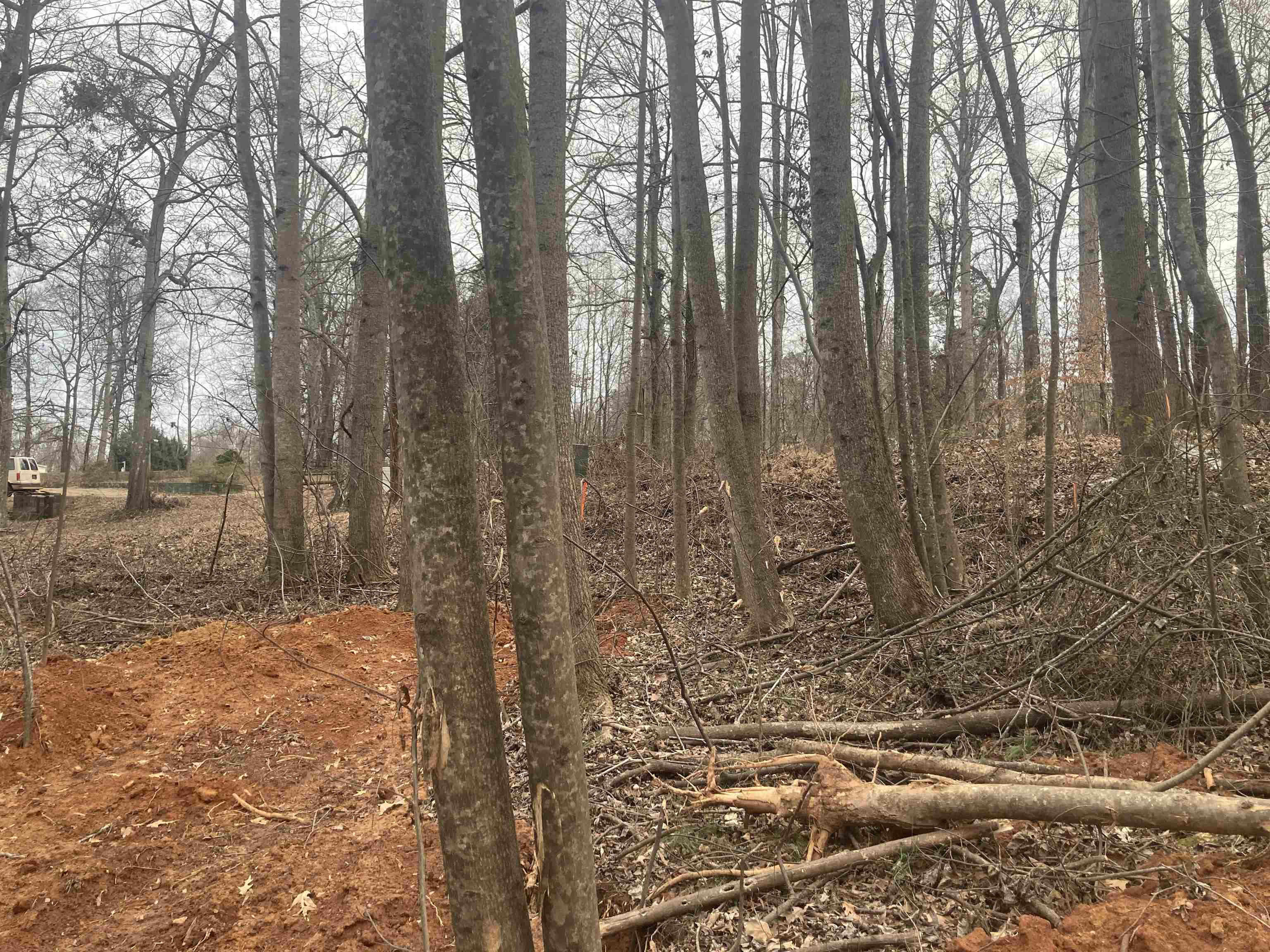 163 Rockingham Road Duncan, SC 29334 - Photo 4 of 7