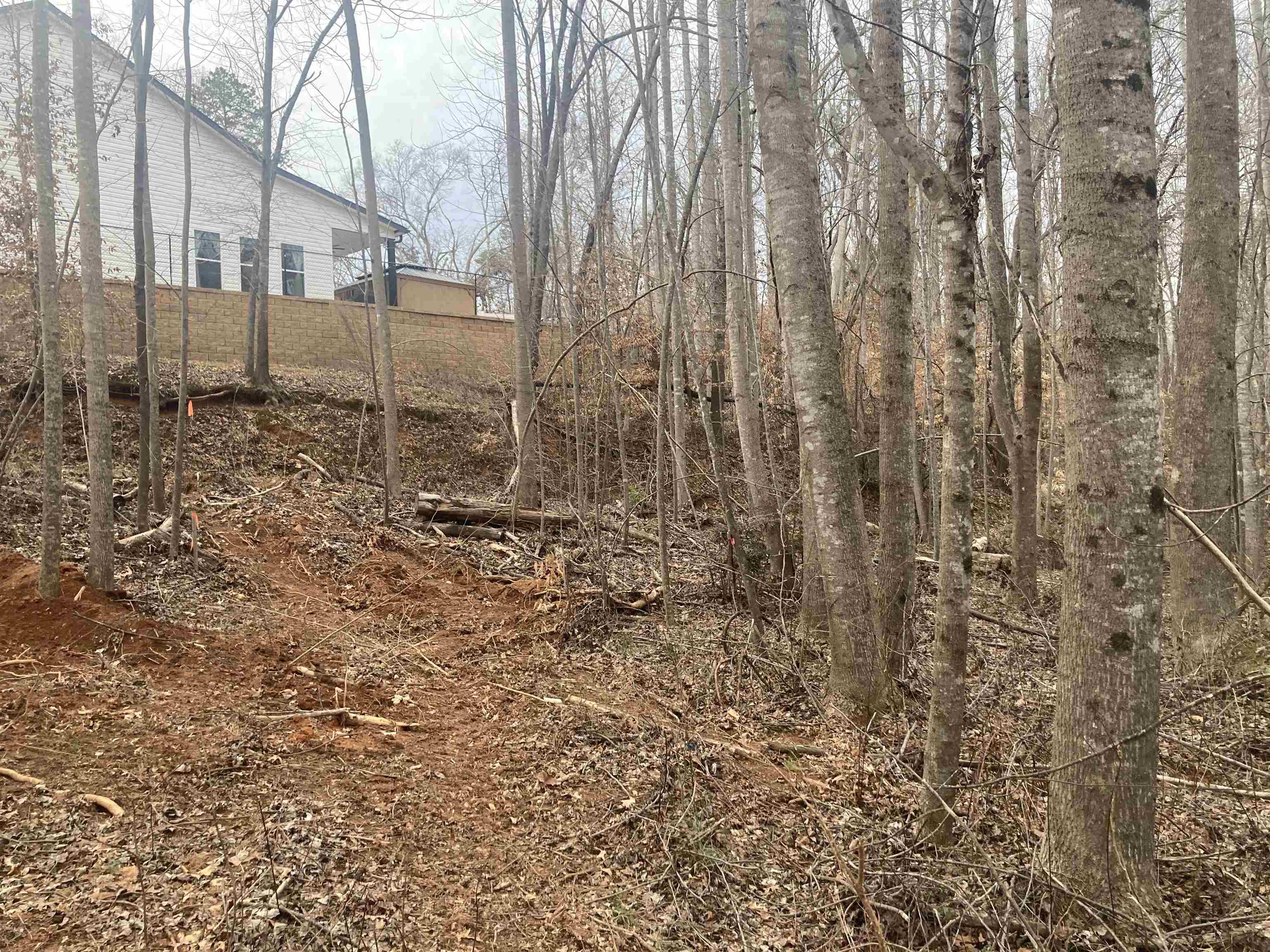 163 Rockingham Road Duncan, SC 29334 - Photo 5 of 7