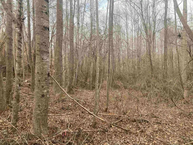 $54,900 | 163 Rockingham Road, Duncan, SC 29334