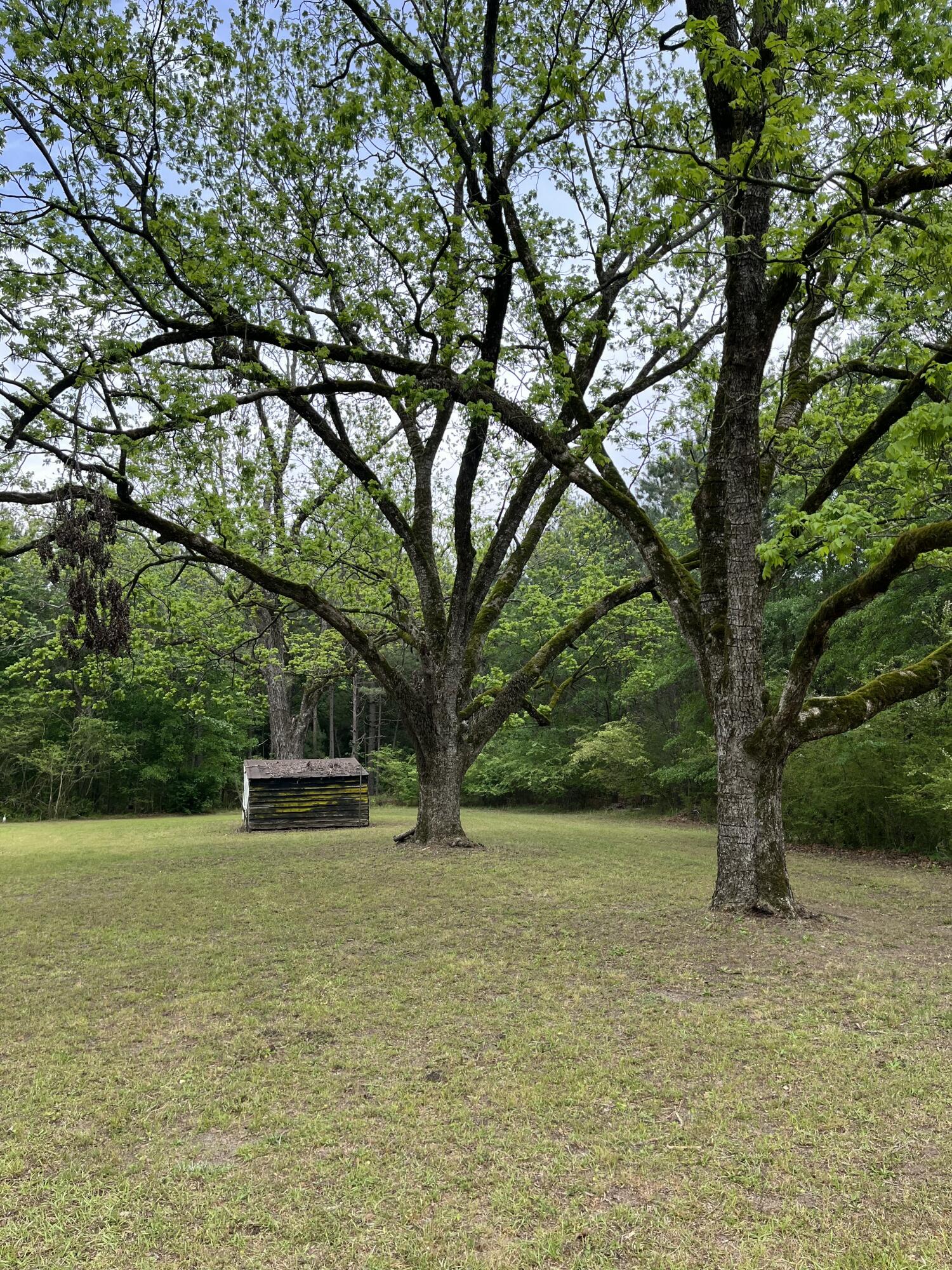 5924 Wagener Road Wagener, SC 29164 - Photo 35 of 48 Gallery Image 35