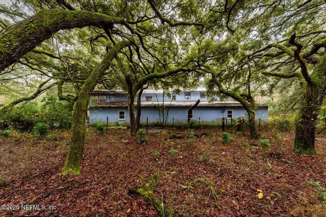 a tree in front of a house