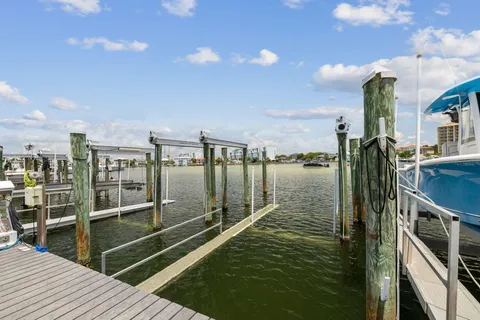 a living room with furniture flowerpot and a chandelier