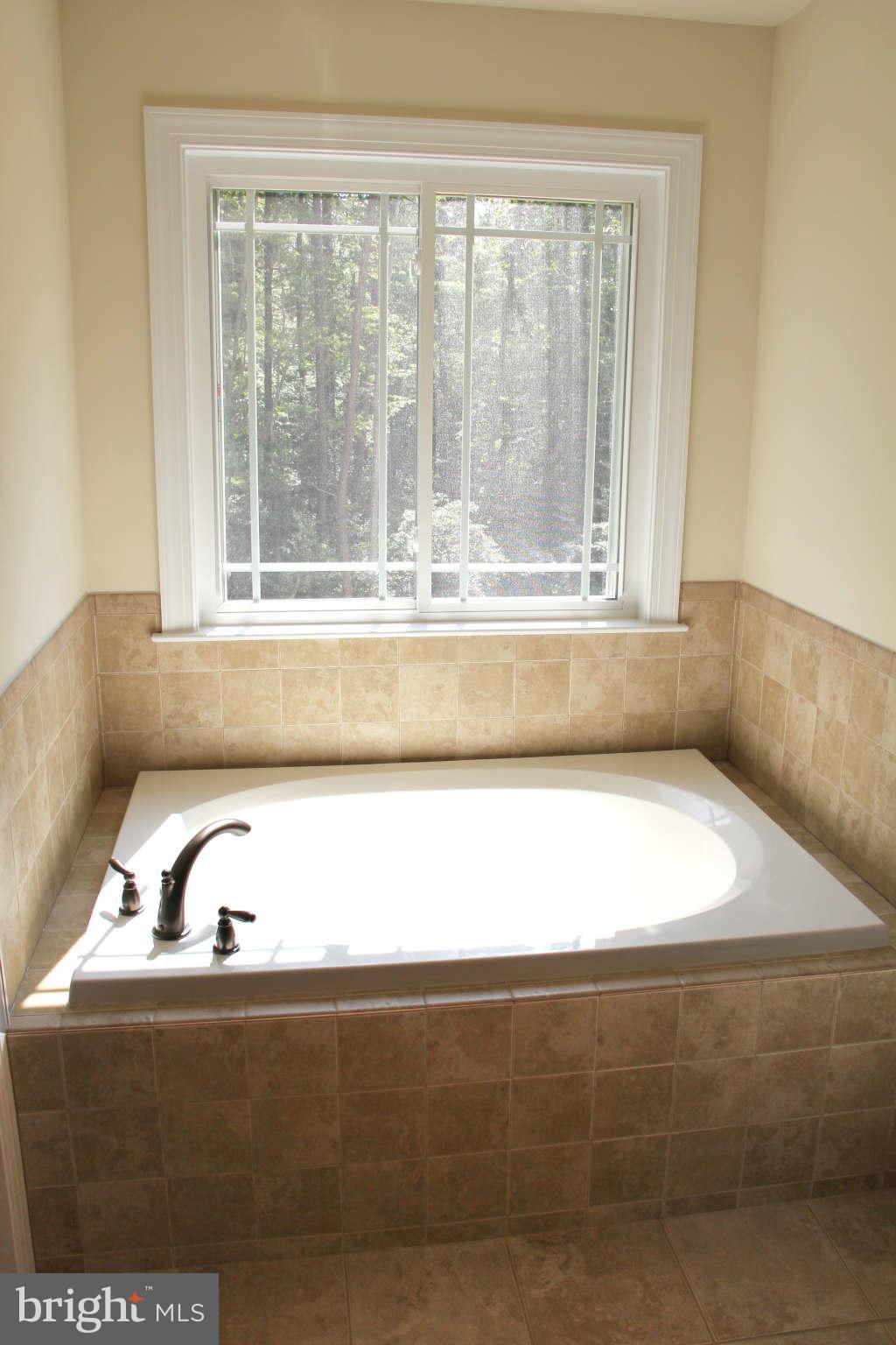 45440 Ruefly Way California, MD 20619 - Photo 8 of 29 Bath (Master)