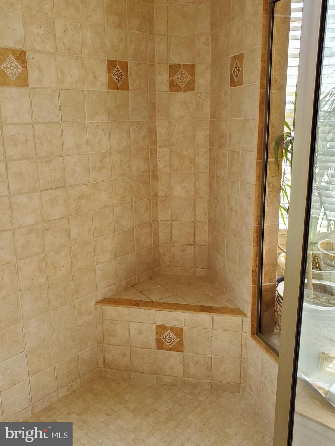 5 Mallow Hill Road Baltimore, MD 21229 - Photo 20 of 39 View of interior shower