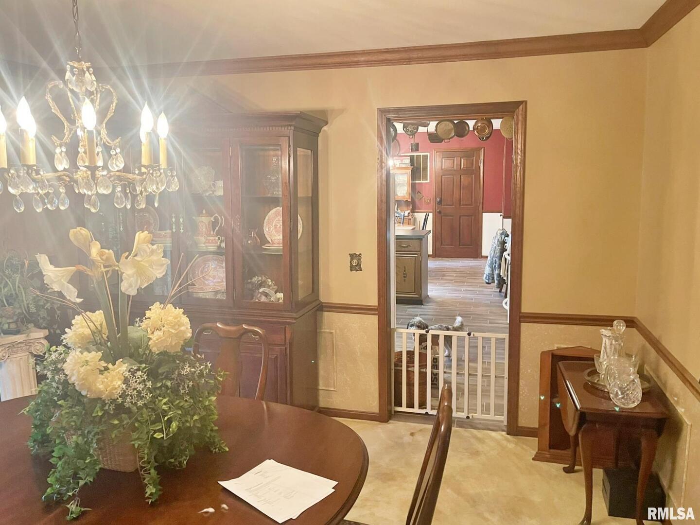 53 Old Orchard Road Metropolis, IL 62960 - Photo 22 of 37