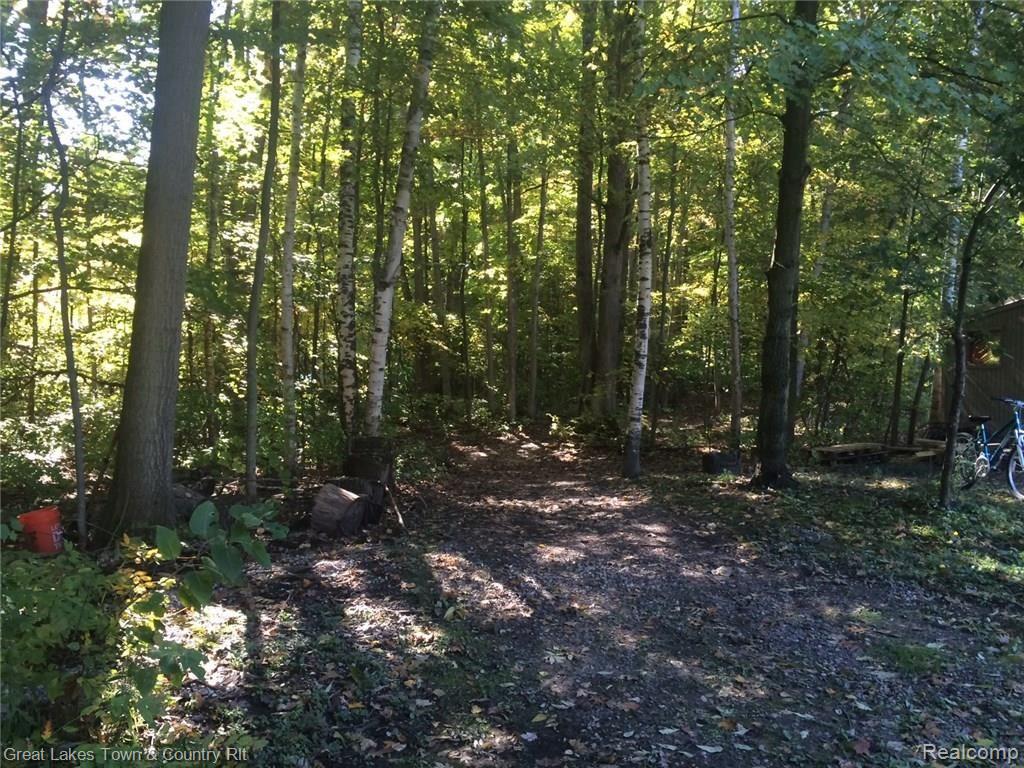 4146 Lum Road Attica, MI 48412 - Photo 6 of 18 IMG_1093.JPG