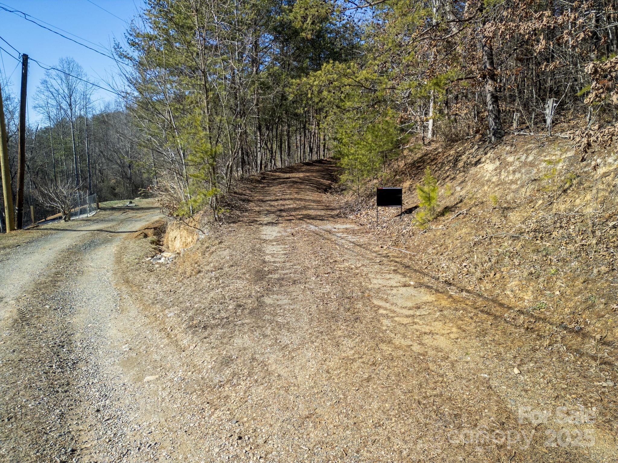 99999 Ralph Lunsford Road, Unit 1 Weaverville, NC 28787 - Photo 1 of 11 Gallery Image 1