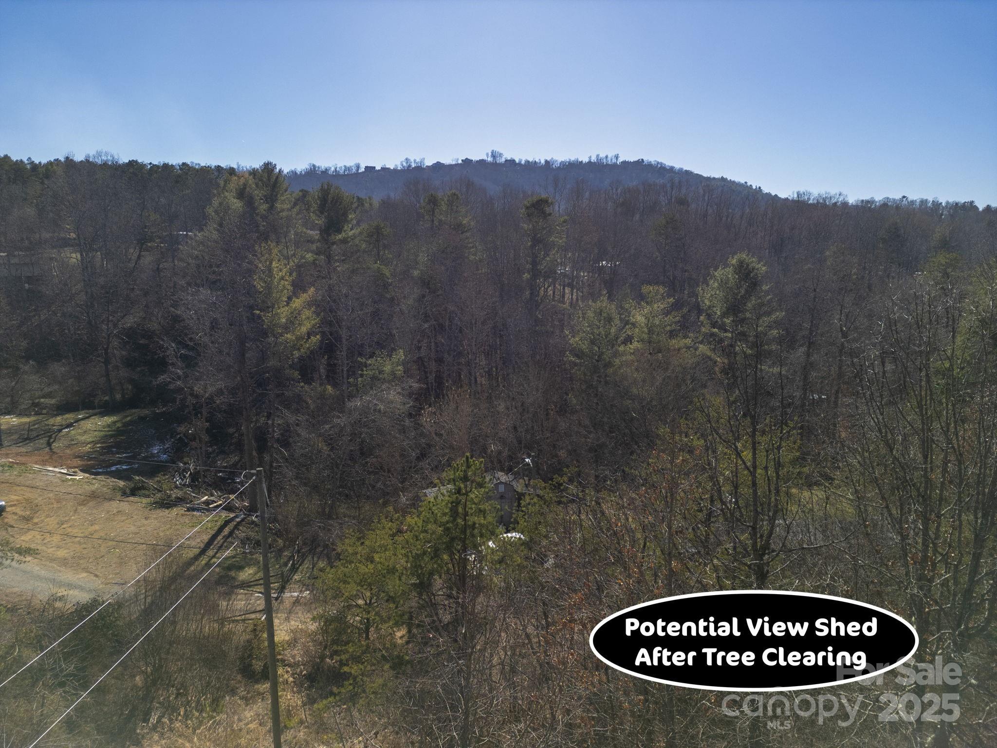 99999 Ralph Lunsford Road, Unit 1 Weaverville, NC 28787 - Photo 11 of 11 Gallery Image 11