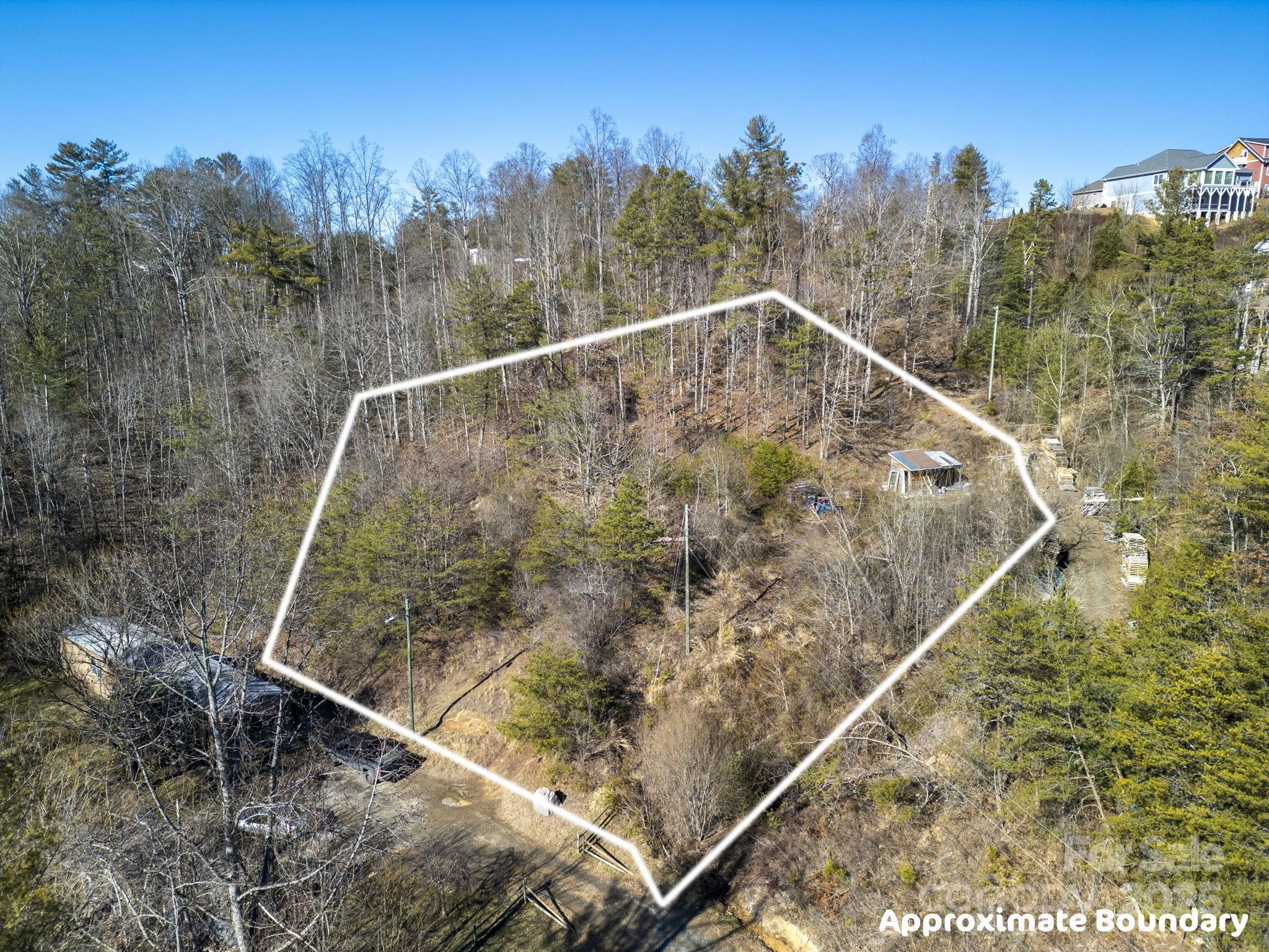 99999 Ralph Lunsford Road, Unit 1 Weaverville, NC 28787 - Photo 2 of 11 Gallery Image 2