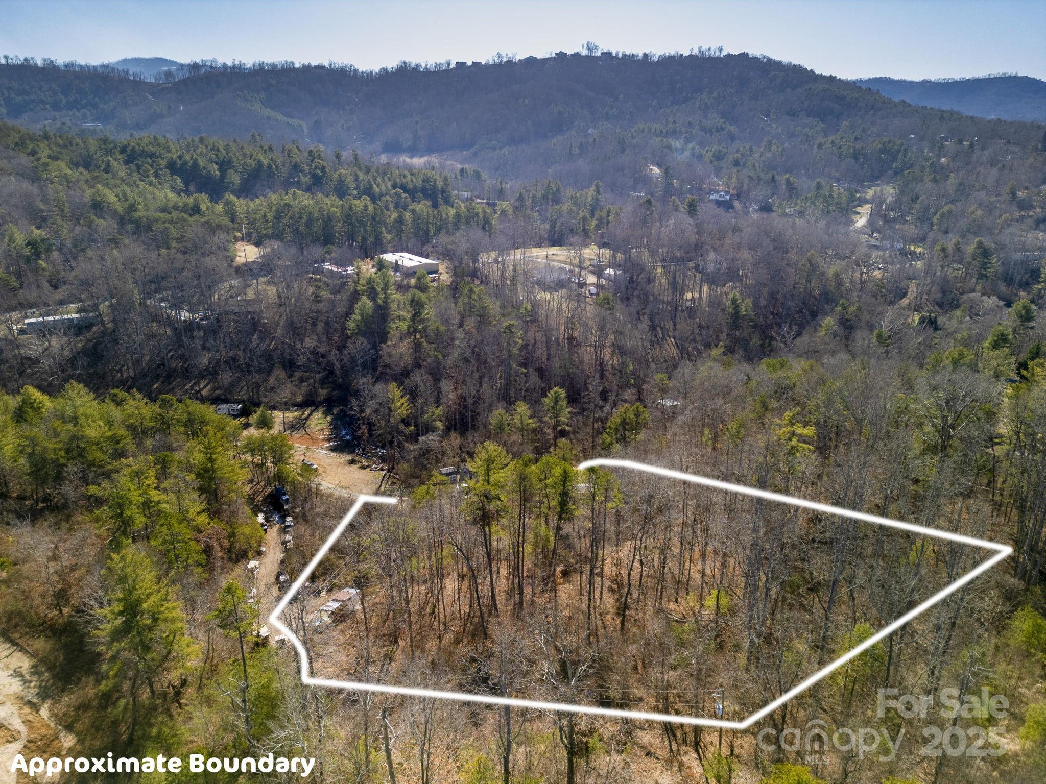 99999 Ralph Lunsford Road, Unit 1 Weaverville, NC 28787 - Photo 5 of 11 Gallery Image 5