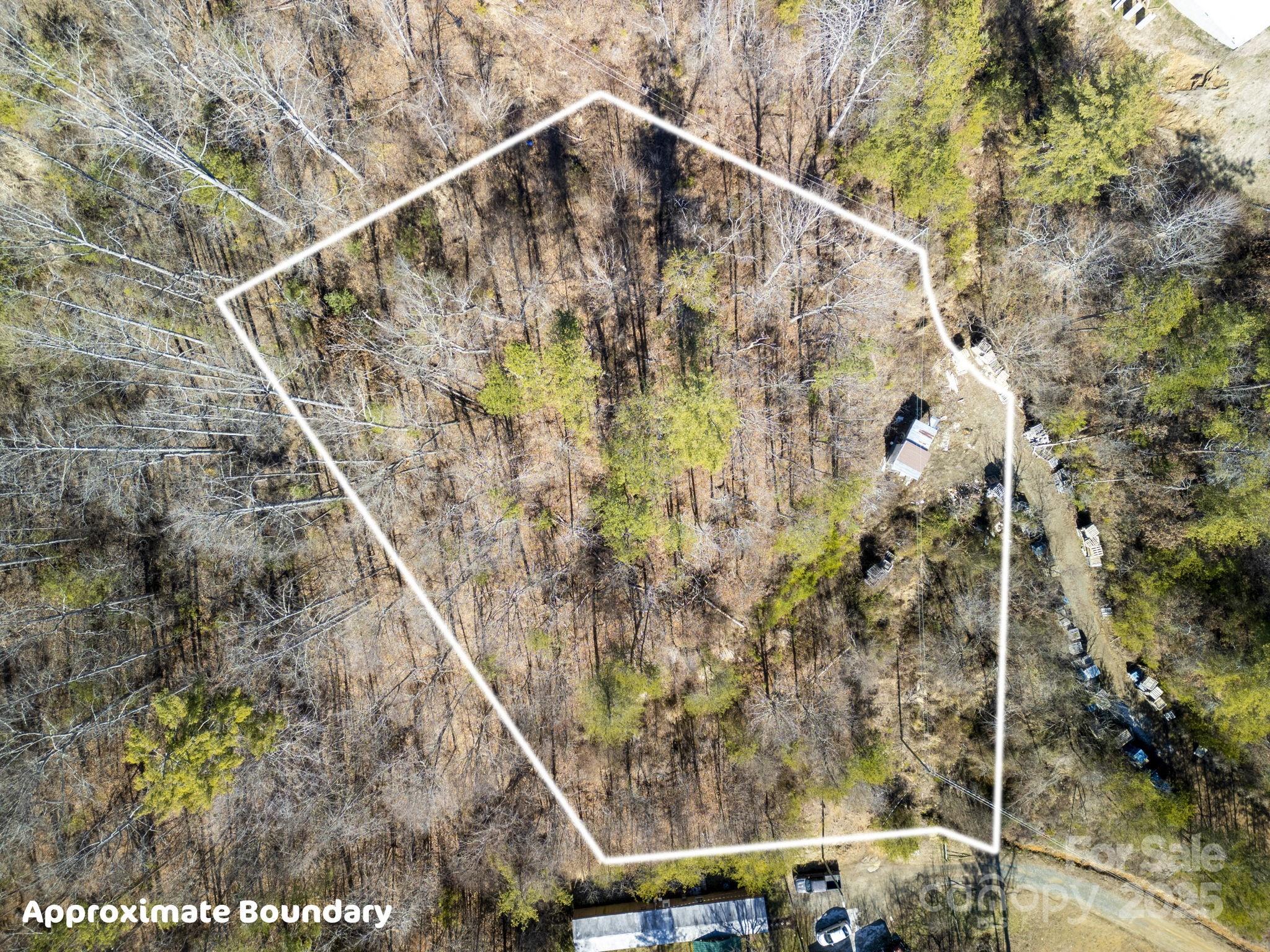 99999 Ralph Lunsford Road, Unit 1 Weaverville, NC 28787 - Photo 6 of 11 Gallery Image 6