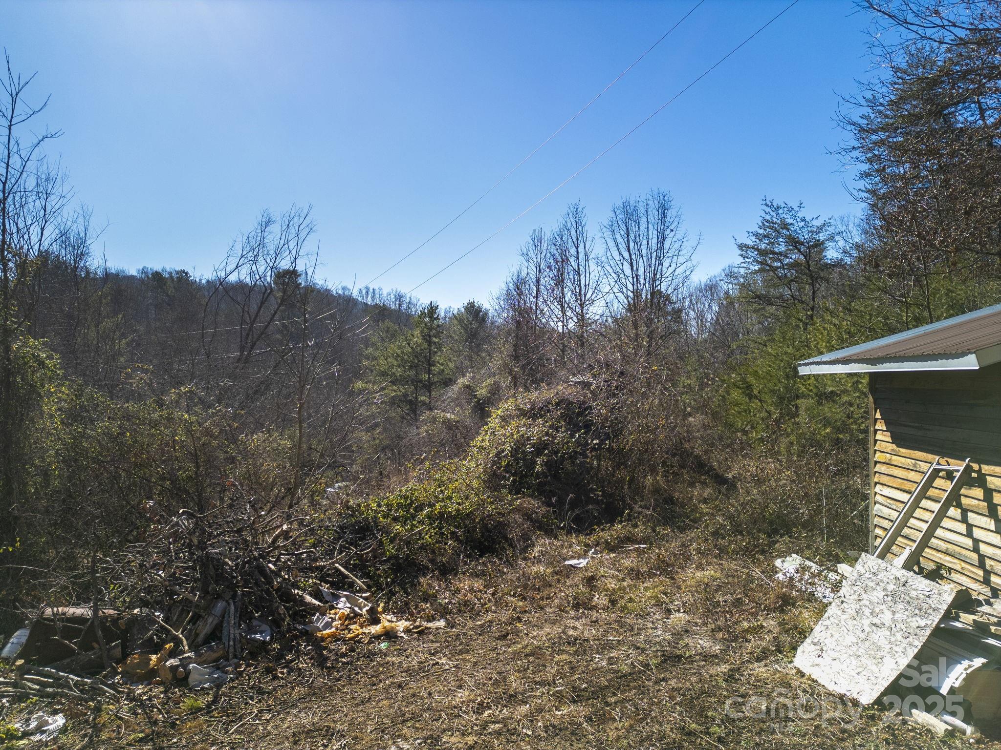 99999 Ralph Lunsford Road, Unit 1 Weaverville, NC 28787 - Photo 7 of 11 Gallery Image 7