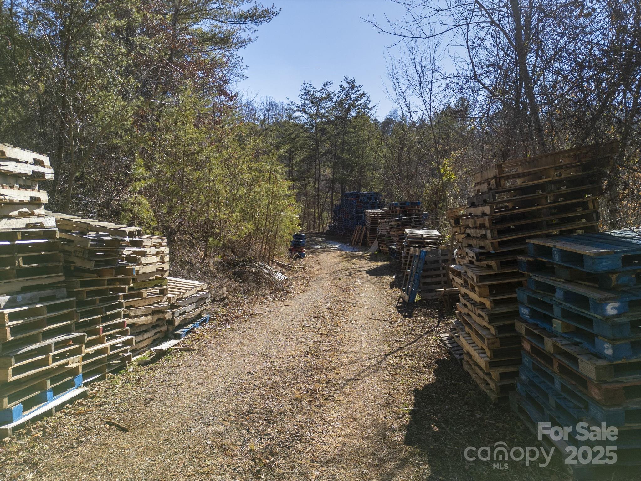 99999 Ralph Lunsford Road, Unit 1 Weaverville, NC 28787 - Photo 9 of 11 Gallery Image 9