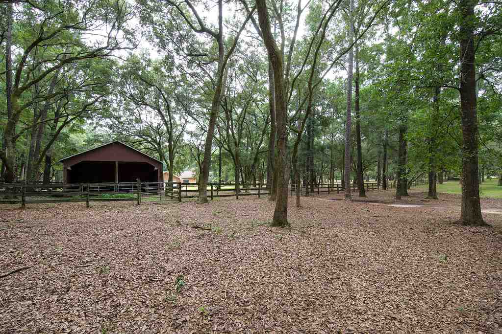 13131 Highway 98 Foley, AL 36535 - Photo 33 of 43