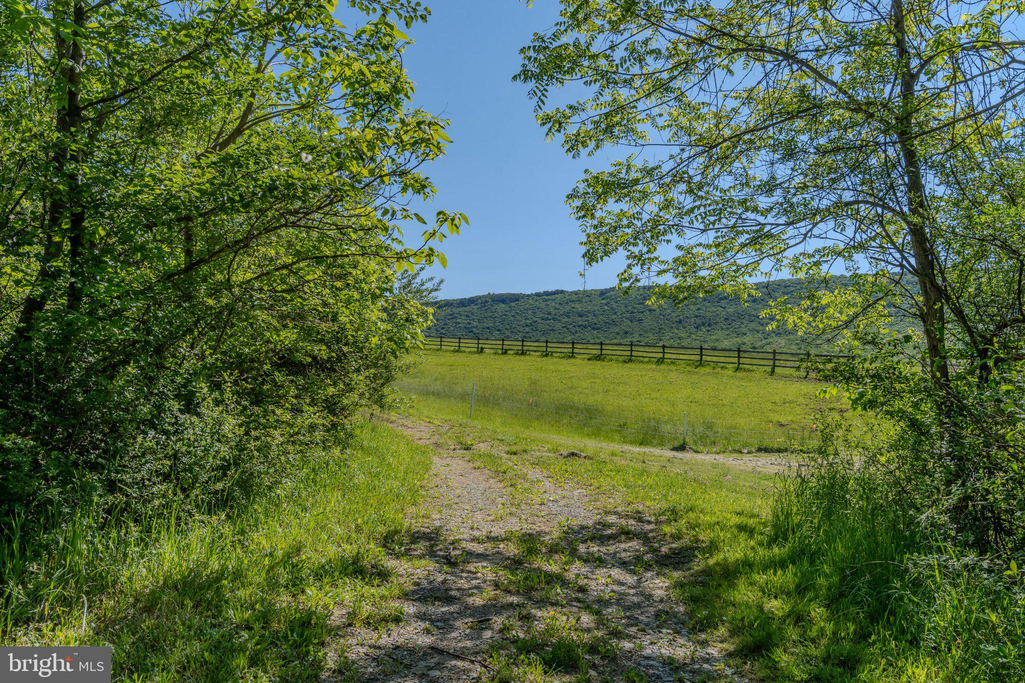 4503 Scotch Valley Road Hollidaysburg, PA 16648 - Photo 34 of 85 a view of a lake with a yard