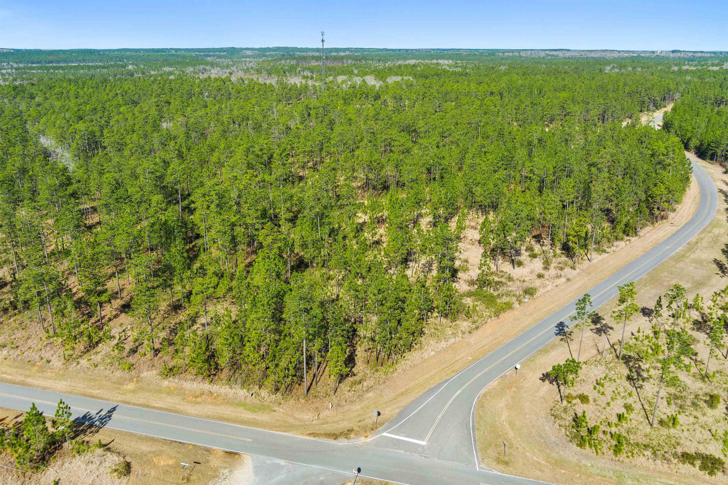 0 Robert White Road Bay Minette, AL 36507 - Photo 2 of 23