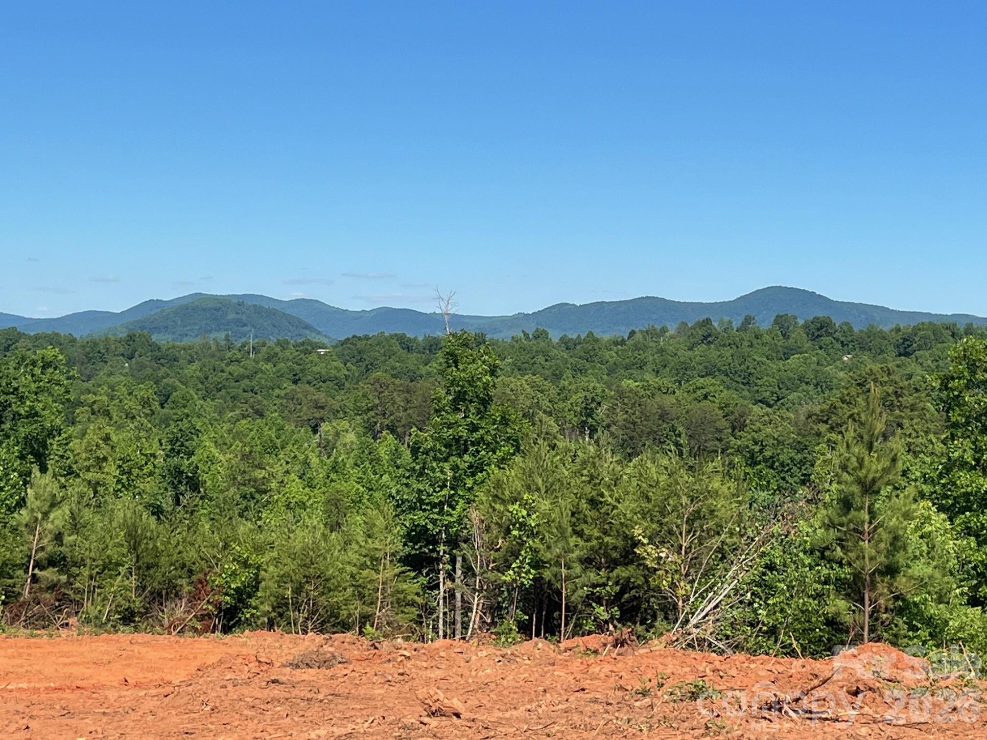 Tbd Vein Mountain Road, Unit 20 Nebo, NC 28761 - Photo 2 of 17