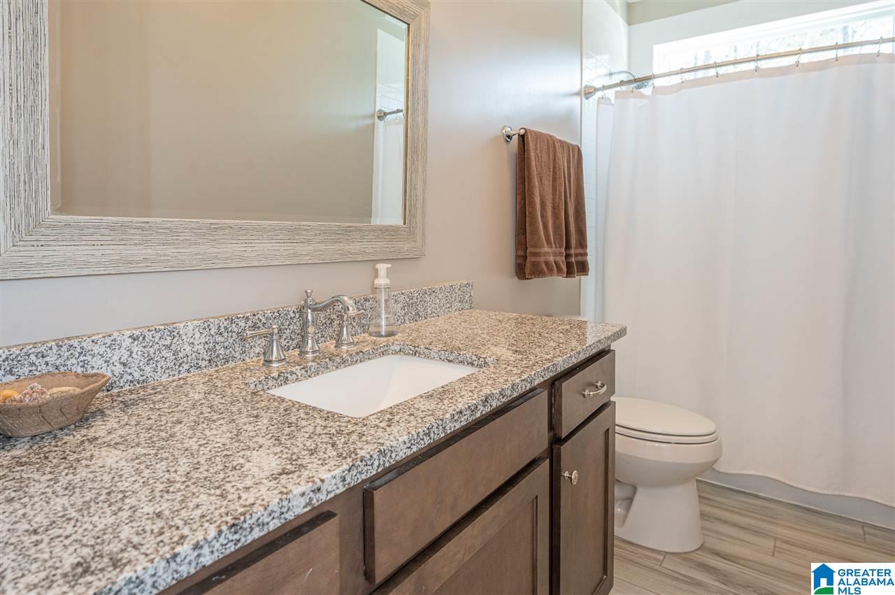659 Blue Springs Road Wilsonville, AL 35186 - Photo 43 of 50