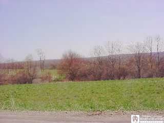 Beech Hill Road Dewittville, NY 14728 - Photo 1 of 1
