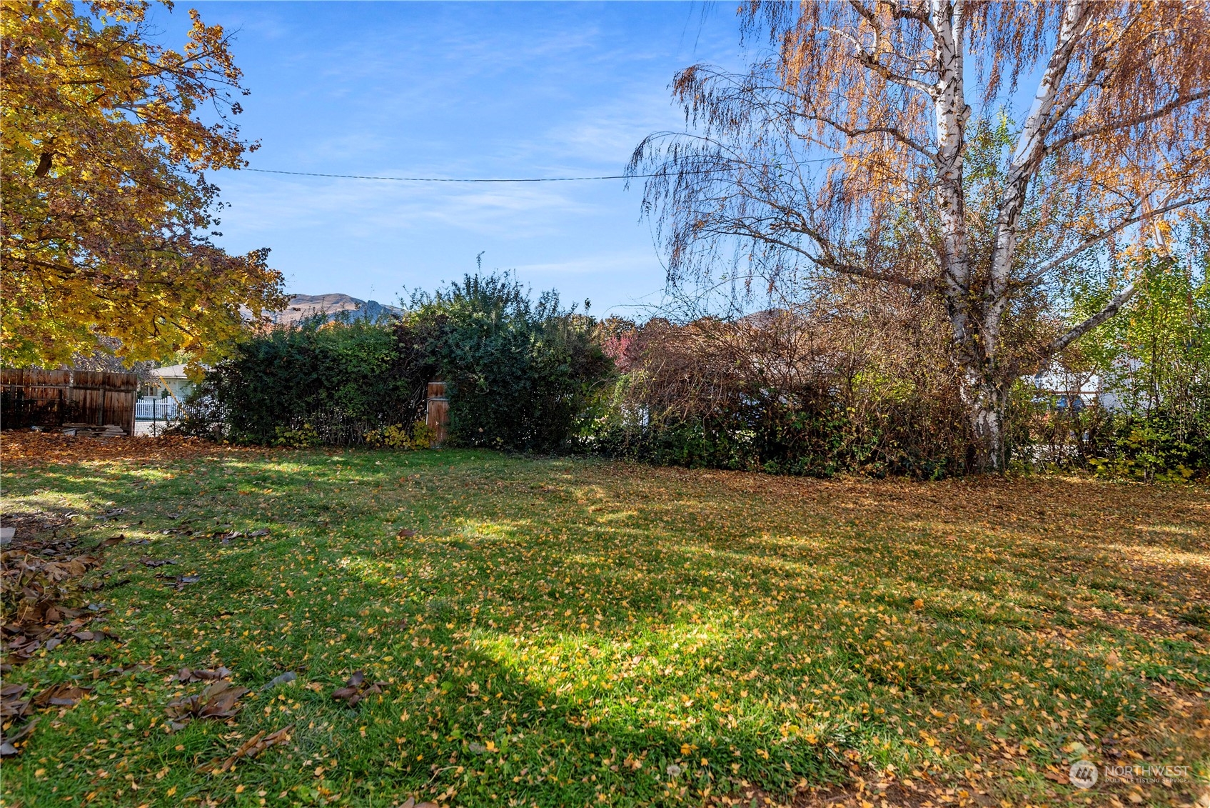 618 Hawthorne Street Wenatchee, WA 98801 - Photo 35 of 37 a view of a field with trees