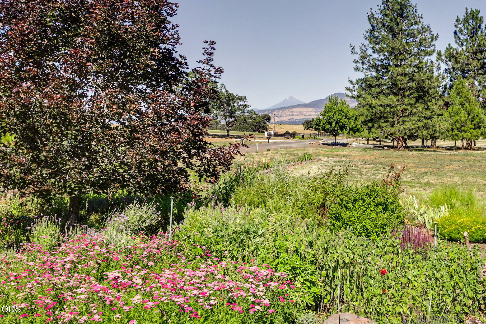 3939 Tami Lane Central Point, OR 97502 - Photo 57 of 57