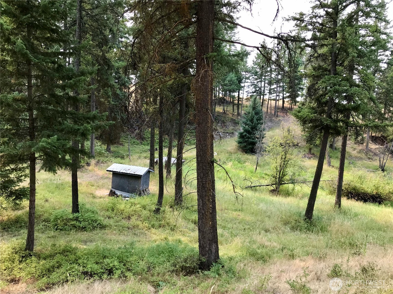 513-9 Mile Road Oroville, WA 98844 - Photo 28 of 28 Gallery Image 28