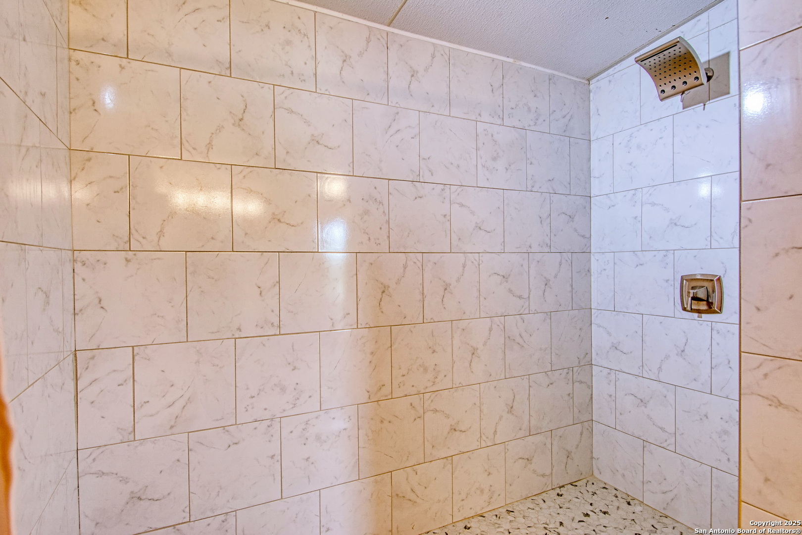 18883 La Gloria Road Elmendorf, TX 78112 - Photo 19 of 46 a bathroom with a shower