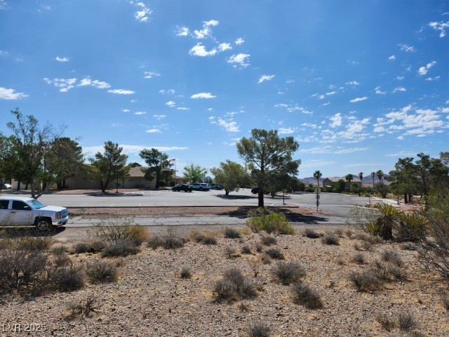 Cottonwood Cove Road Searchlight, NV 89046 - Photo 13 of 14 View of yard