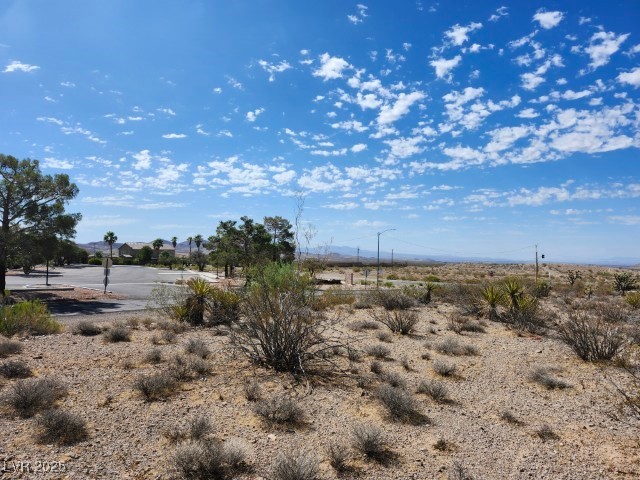 Cottonwood Cove Road Searchlight, NV 89046 - Photo 14 of 14 View of yard