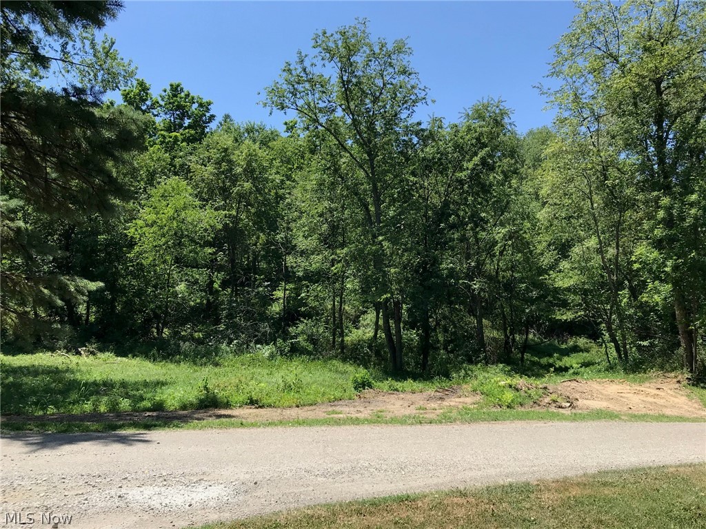 Canary Road Dennison, OH 44621 - Photo 10 of 11