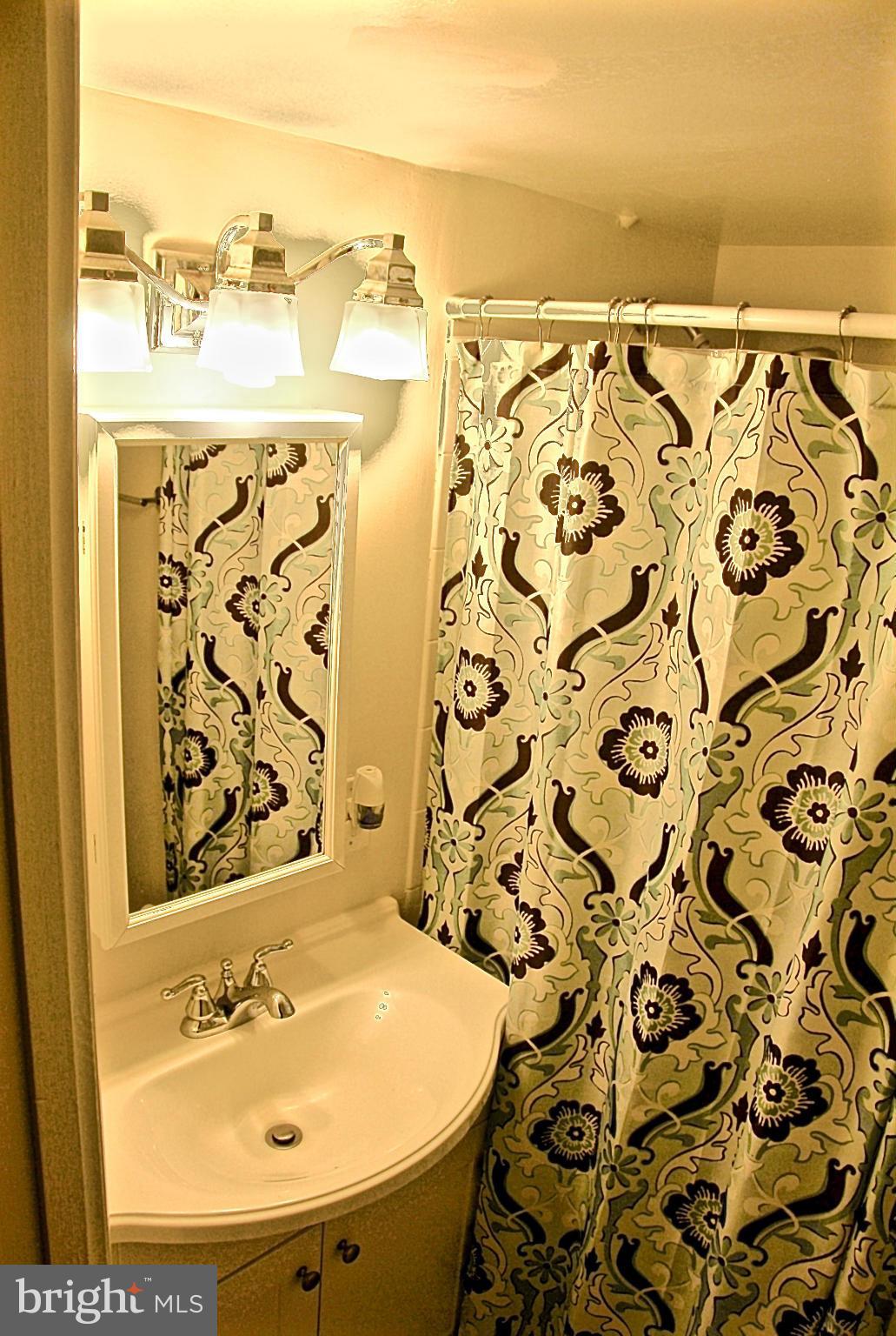 2418 Cloudcroft Square Reston, VA 20191 - Photo 13 of 16 Full Bath in Basement