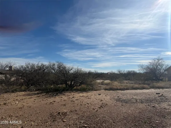 a view of a dry yard with wooden fence
