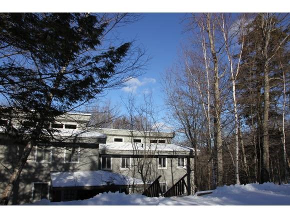 20 Stratton West Road, Unit 20 Winhall, VT 05340 - Photo 1 of 1