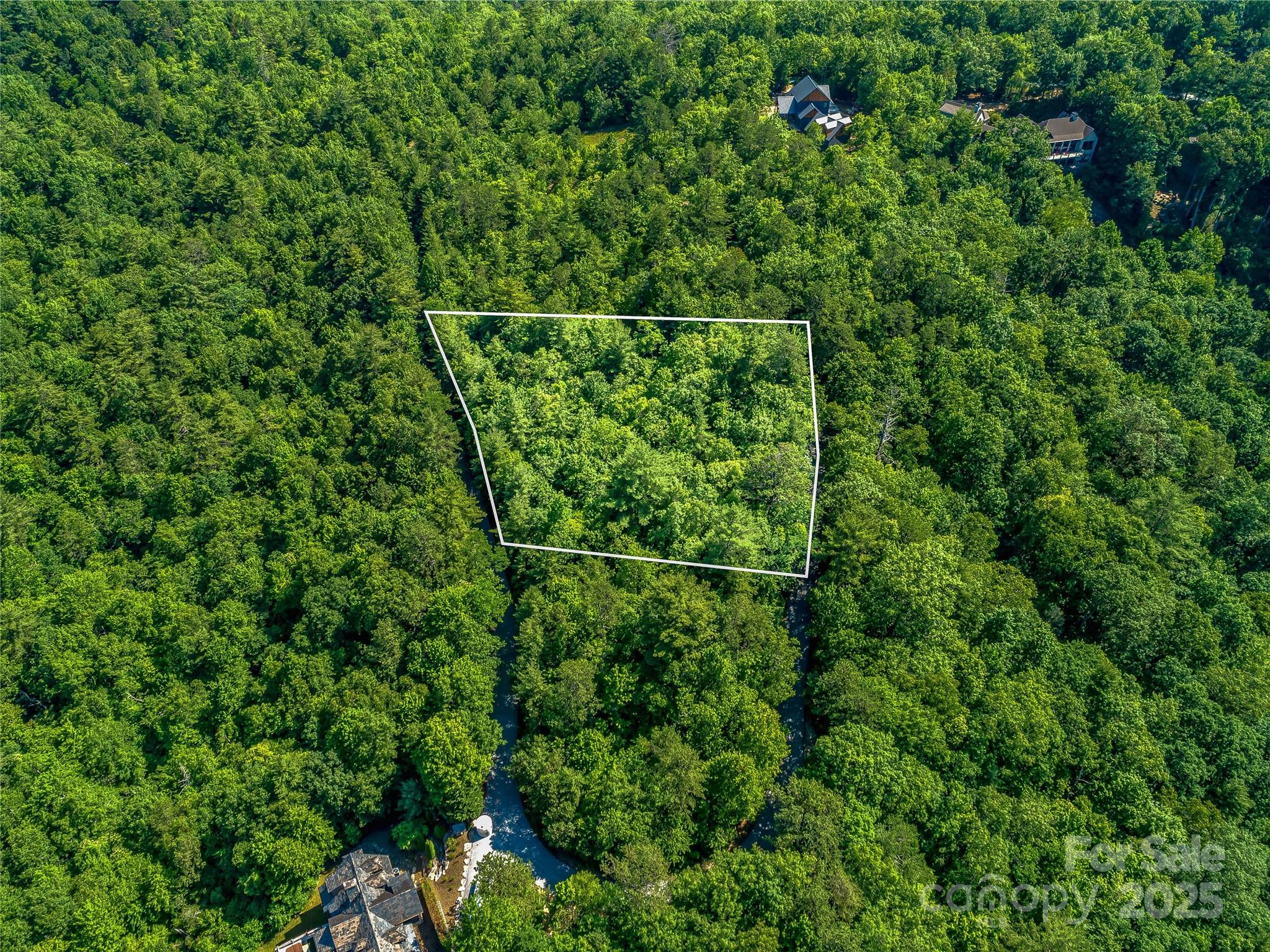 Tbd Quartz Mine Road Lake Toxaway, NC 28747 - Photo 1 of 26 a view of a yard
