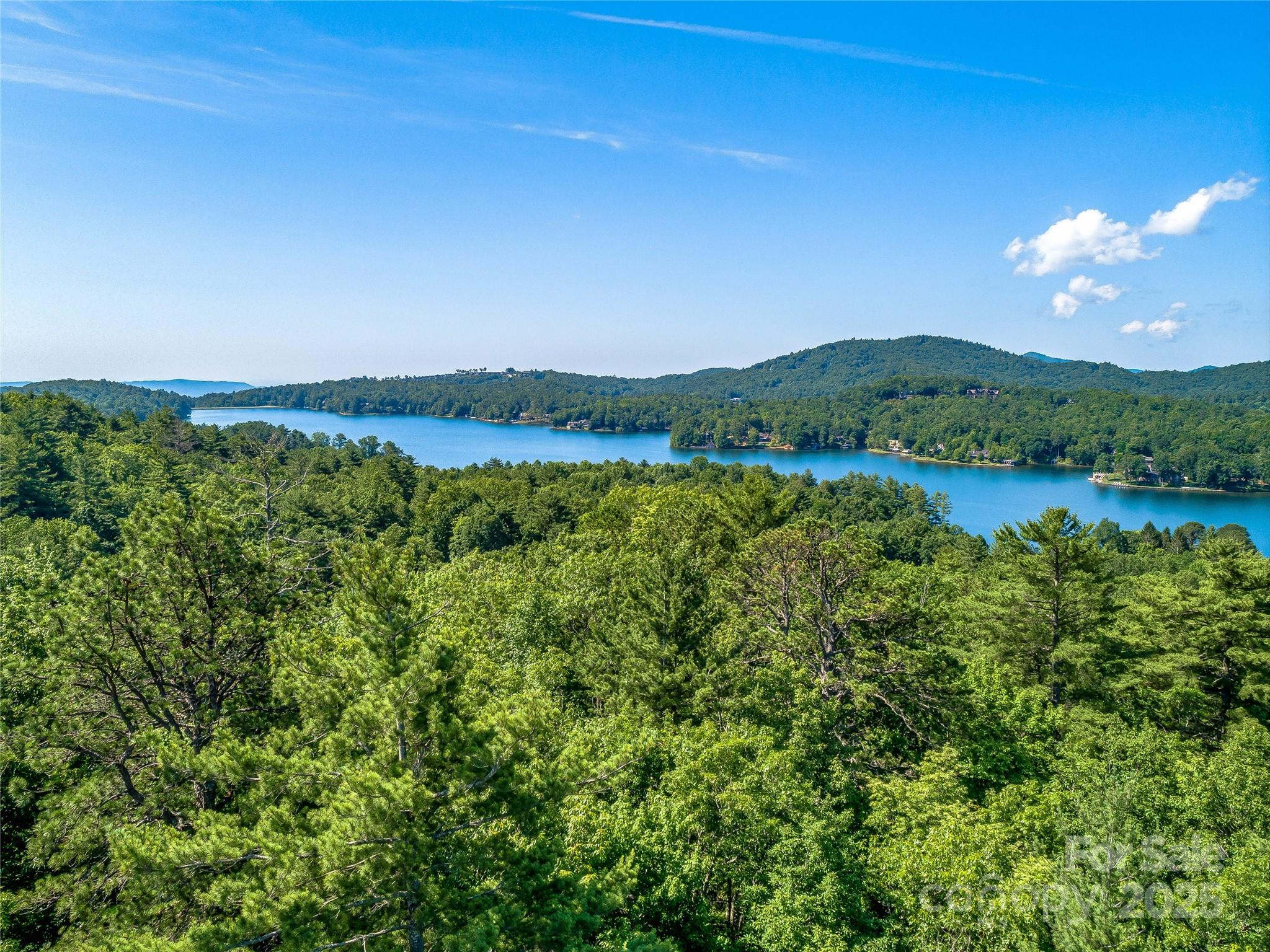 Tbd Quartz Mine Road Lake Toxaway, NC 28747 - Photo 11 of 26 a view of lake with mountain