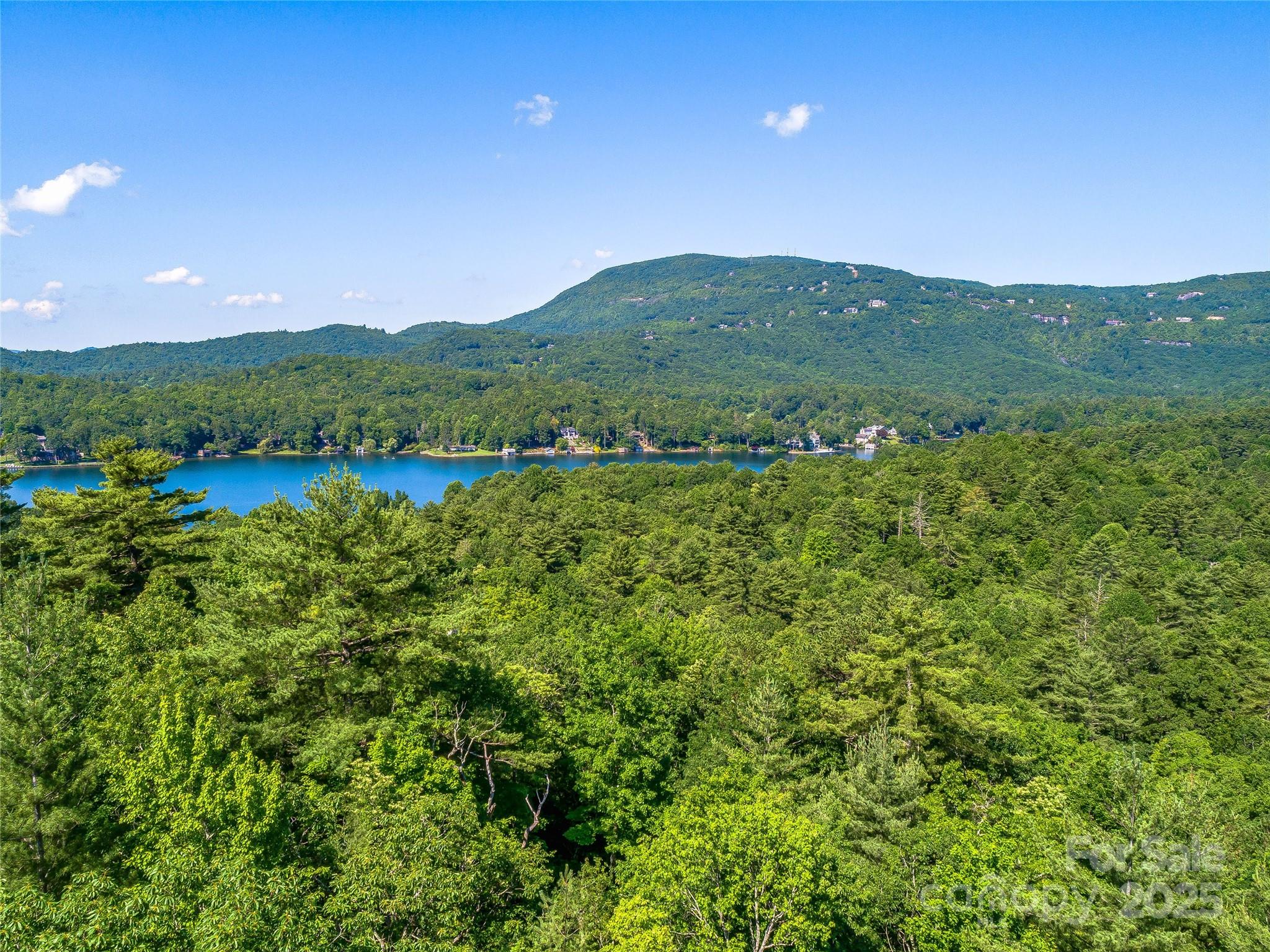 Tbd Quartz Mine Road Lake Toxaway, NC 28747 - Photo 12 of 26 a view of an outdoor space and a yard