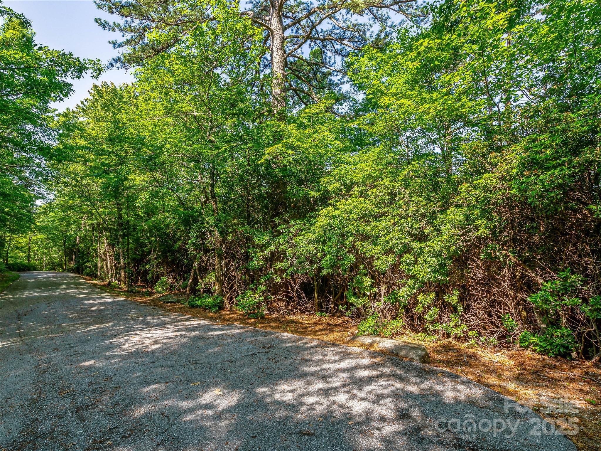Tbd Quartz Mine Road Lake Toxaway, NC 28747 - Photo 13 of 26 a view of a yard with a tree