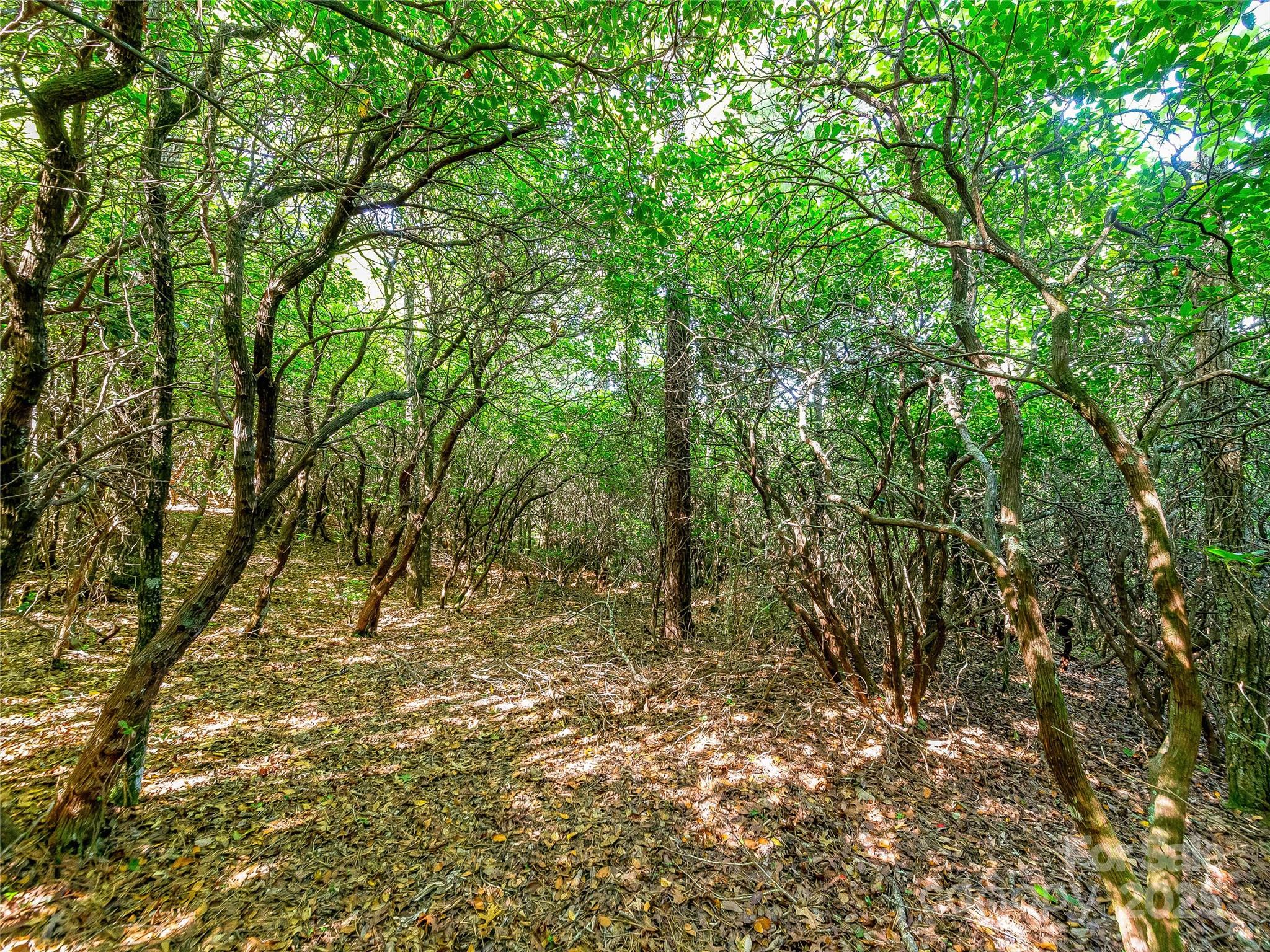 Tbd Quartz Mine Road Lake Toxaway, NC 28747 - Photo 14 of 26 a view of outdoor space with deck and tree