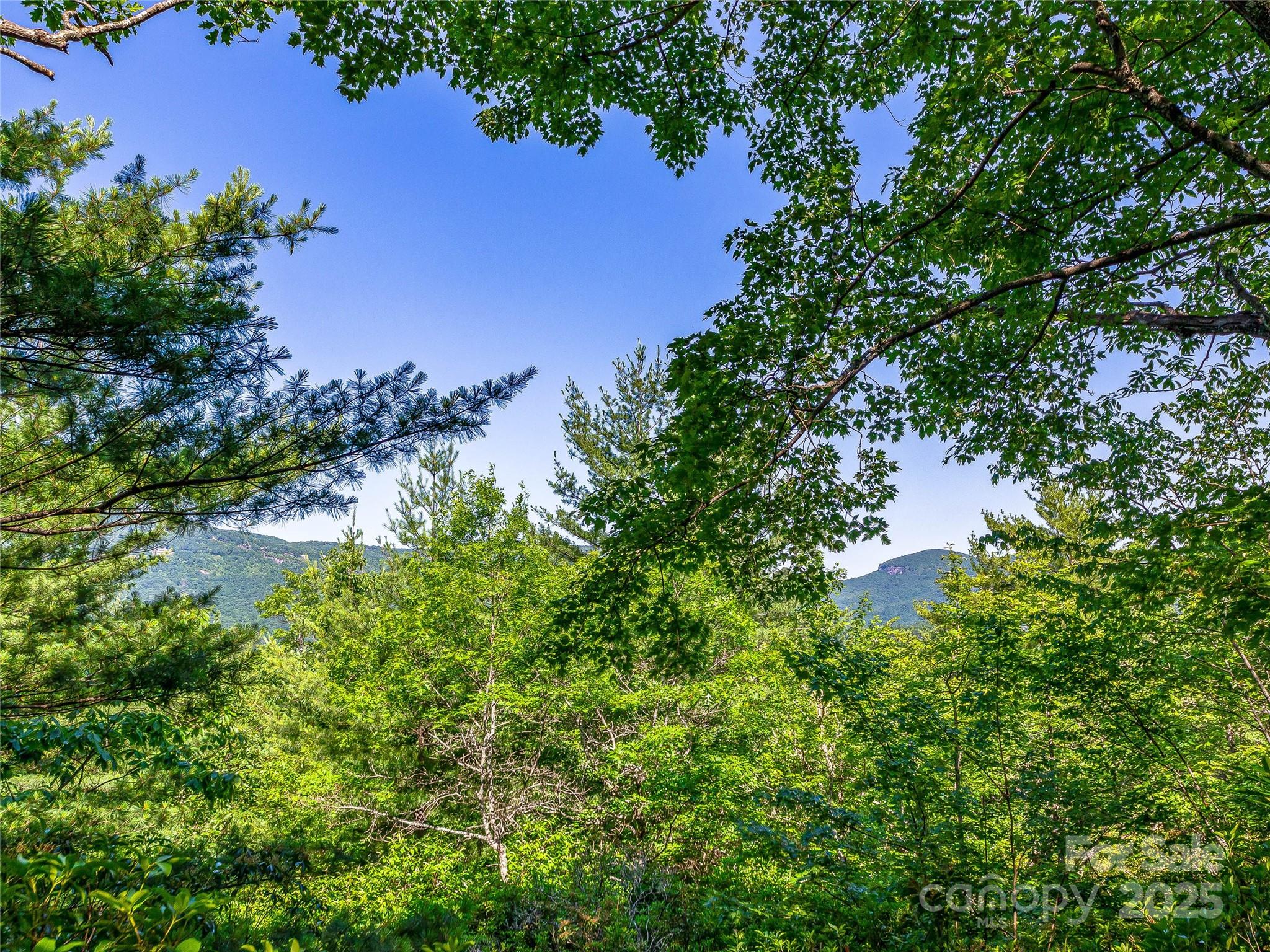 Tbd Quartz Mine Road Lake Toxaway, NC 28747 - Photo 15 of 26 an aerial view of a houses with yard
