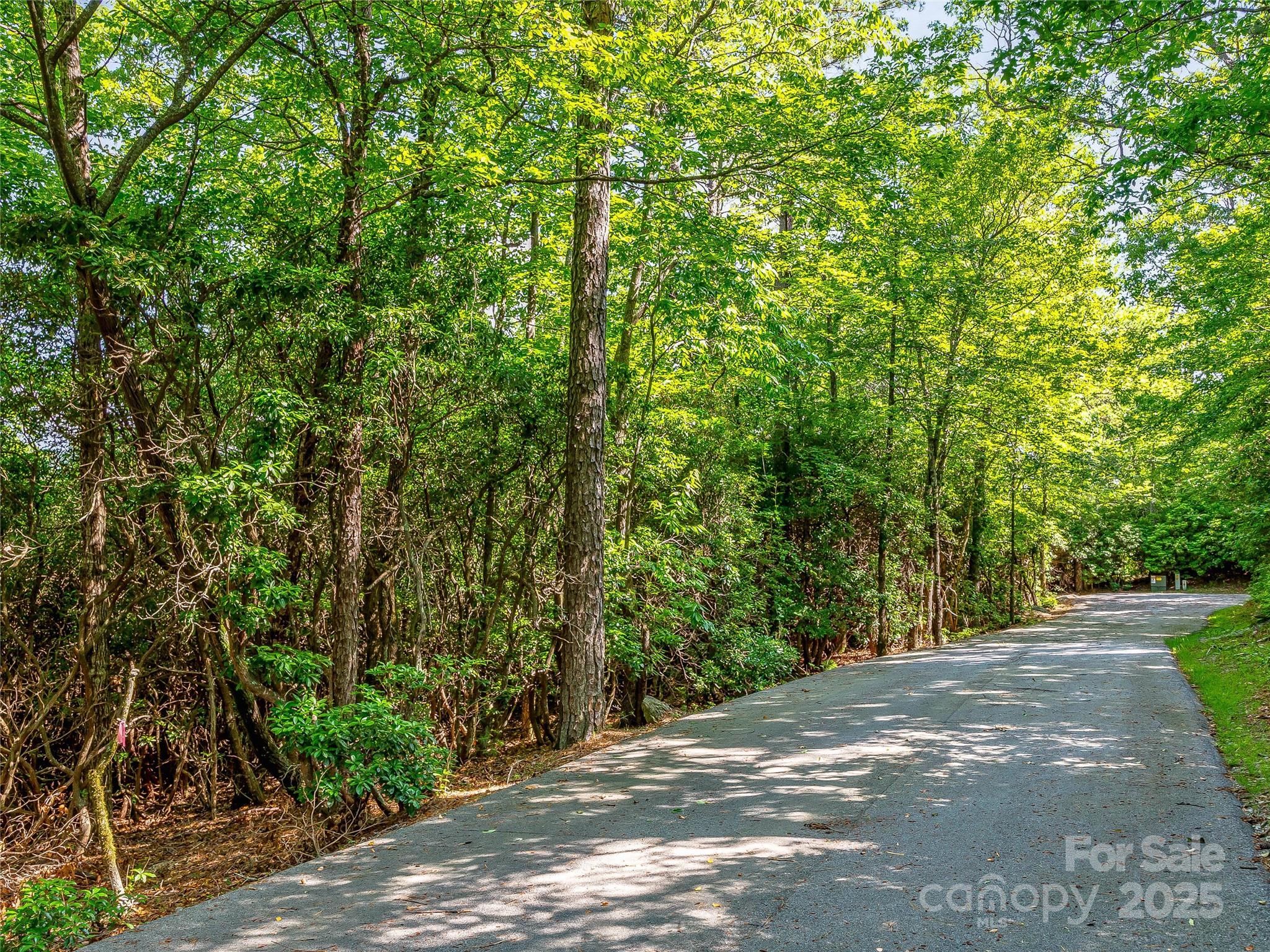Tbd Quartz Mine Road Lake Toxaway, NC 28747 - Photo 17 of 26 a view of a yard with plants and trees