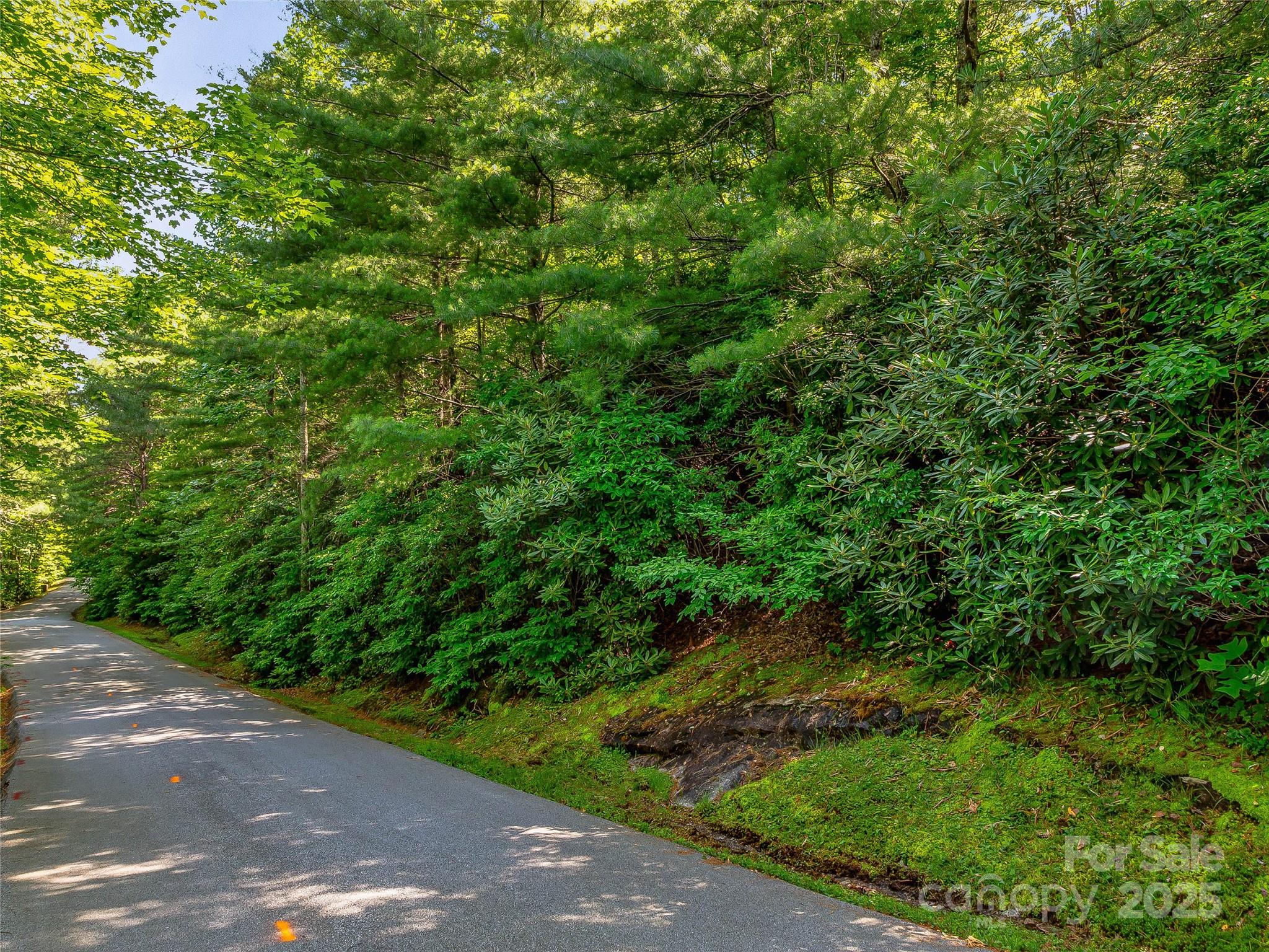 Tbd Quartz Mine Road Lake Toxaway, NC 28747 - Photo 18 of 26 a view of a yard with plants and a bench