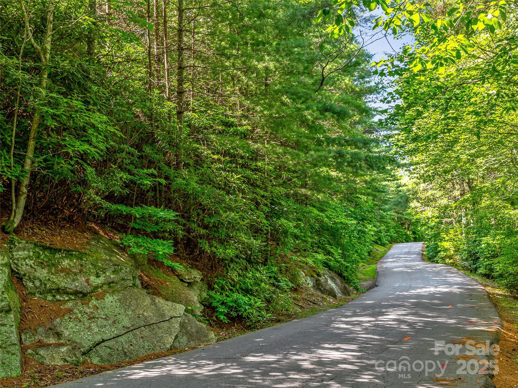 Tbd Quartz Mine Road Lake Toxaway, NC 28747 - Photo 19 of 26 a view of a yard